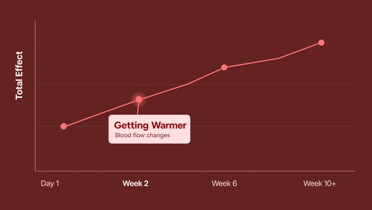 Week 2